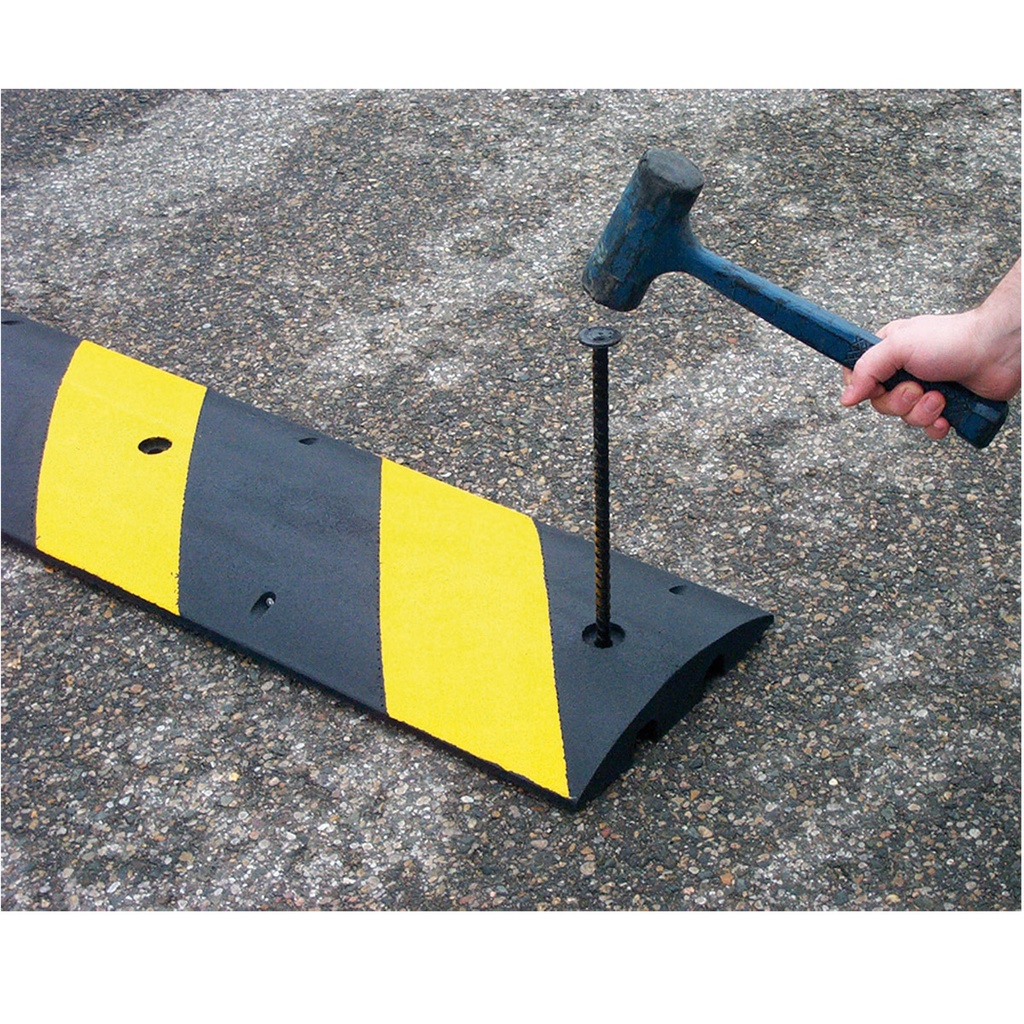 031.133.00_Fijacion_Con_Tornillo_De_Anclaje_En_Asfalto_Servitrapo