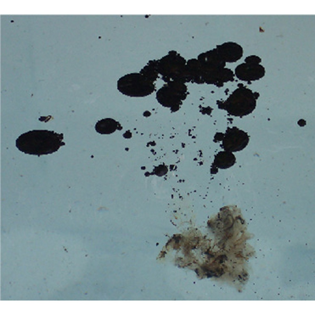 037.814.12_Dispersante_De_Hidrocarburos_Biodegradable_Disperep12_1000_L_Servitrapo_2