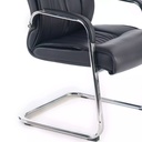 Sillón Elegante Versátil y Polivalente de gran calidad
