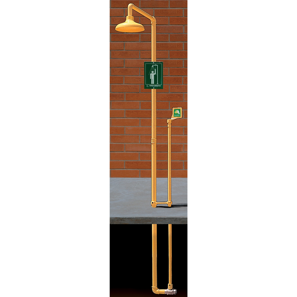 Ducha De Emergencia, En Abs E Incongelable