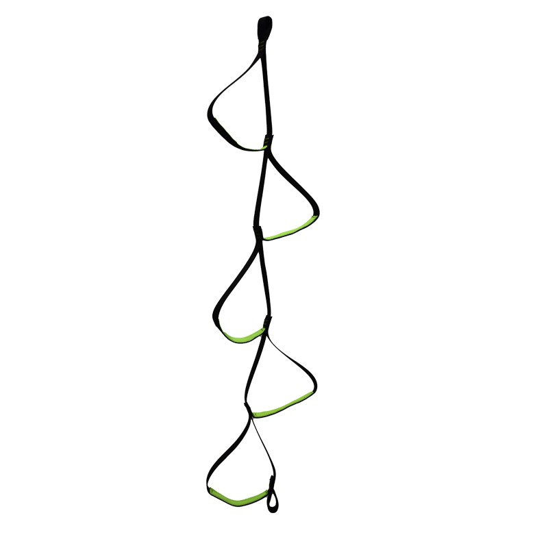 Escala de Cinta de 5 Peldaños