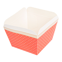 DELI-BARQUILLAS 210 + 15 PE G/M2 4,8x4,8x4,9 CM SURTIDO CARTÓN (100 UNID.)