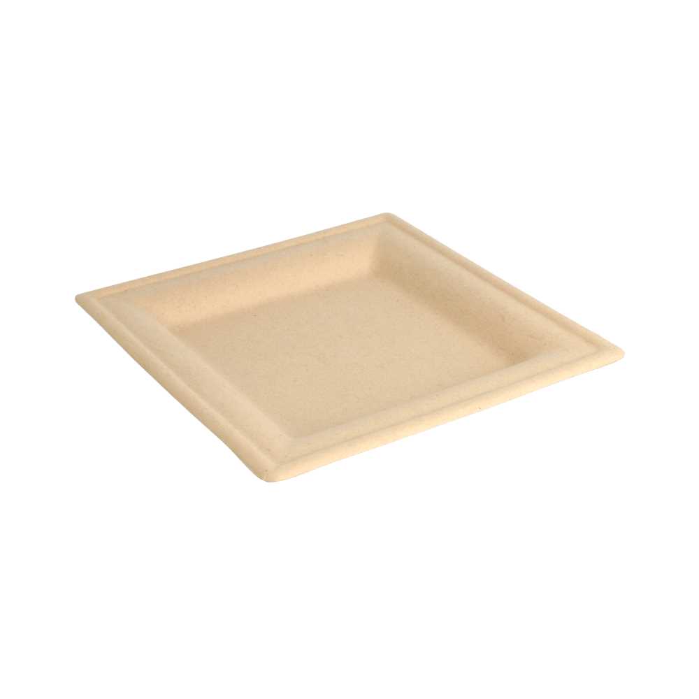PLATOS CUADRADOS 'BIONIC' 16x16x1 CM NATURAL BAGAZO (1000 UNID.)
