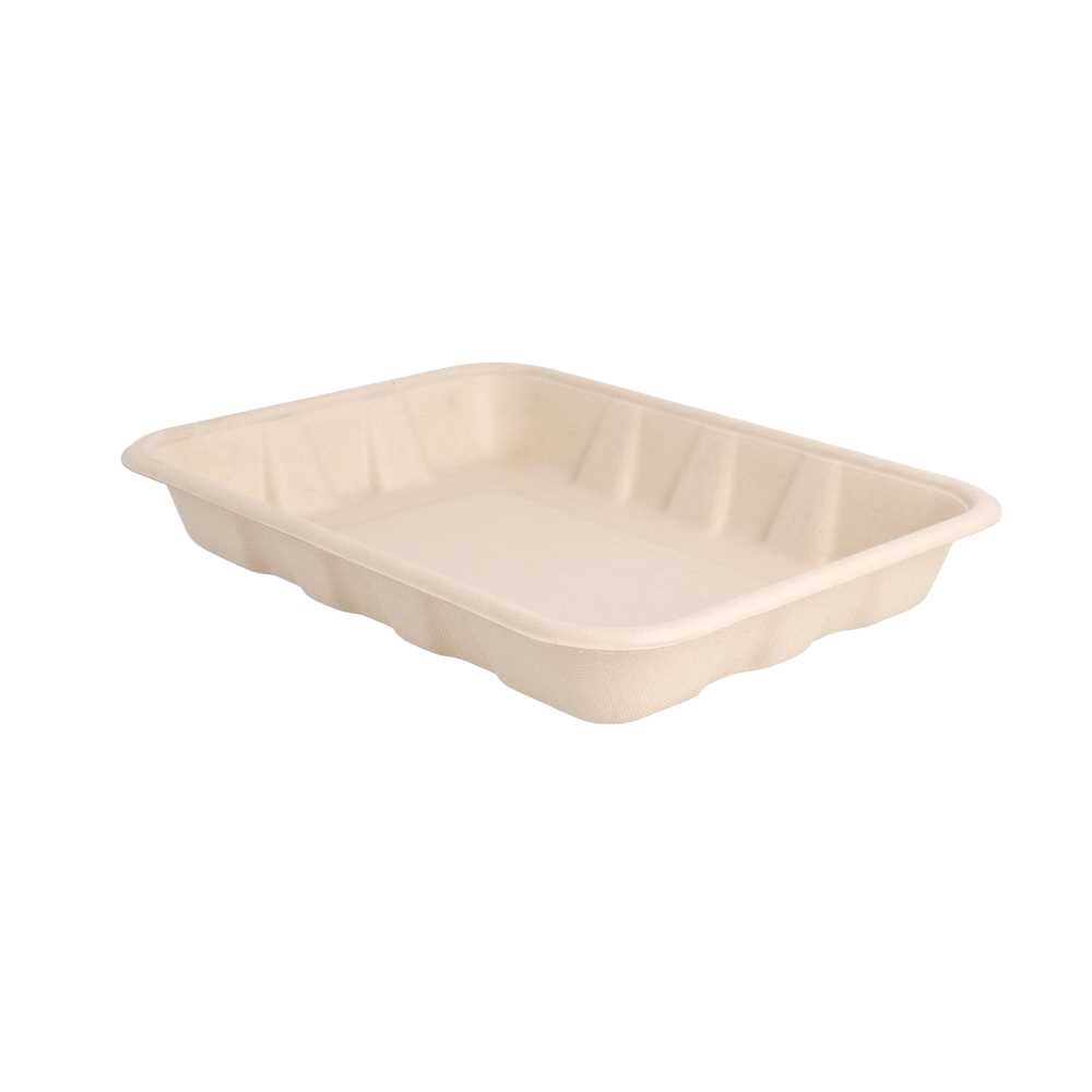 BANDEJAS 'BIONIC' 600 ML 22x16x3,5 CM NATURAL BAGAZO (400 UNID.)