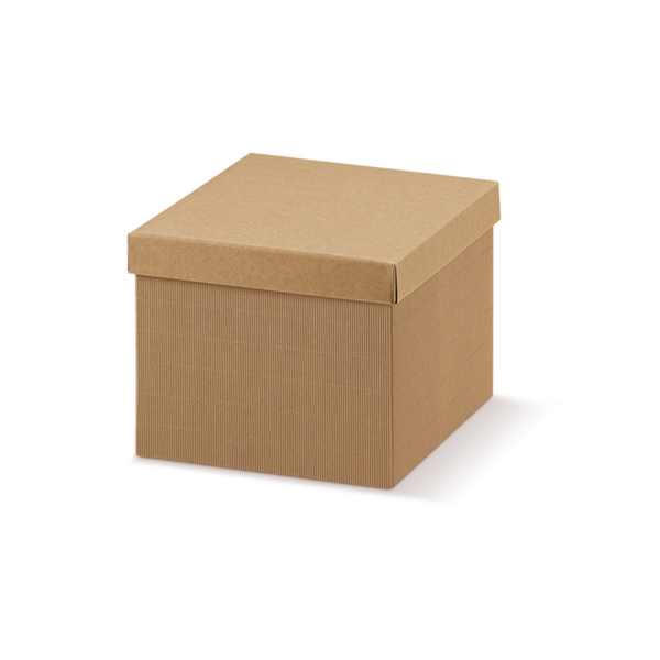 20 U. CAJAS 30x30x24 CM NATURAL KRAFT (1 UNID.)