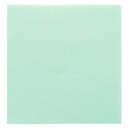 SERVILLETAS ECOLABEL 'DOUBLE POINT' 18 G/M2 33x33 CM VERDE AGUA TISSUE (1200 UNID.)