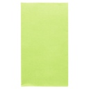 SERVILLETAS ECOLABEL P. 1/6 'DOUBLE POINT' 18 G/M2 33x40 CM VERDE ANÍS TISSUE (2000 UNID.)