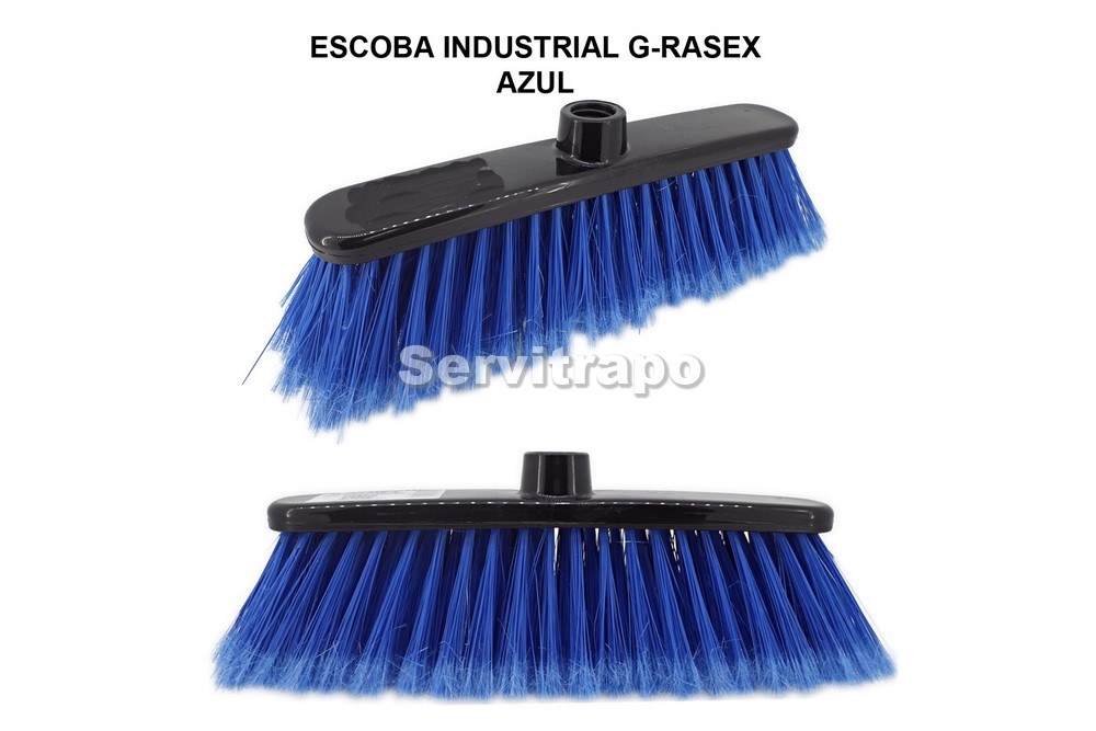 Escoba Rasex Azul