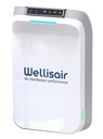 WELLISAIR desinfectante y purificador de aire y superficies