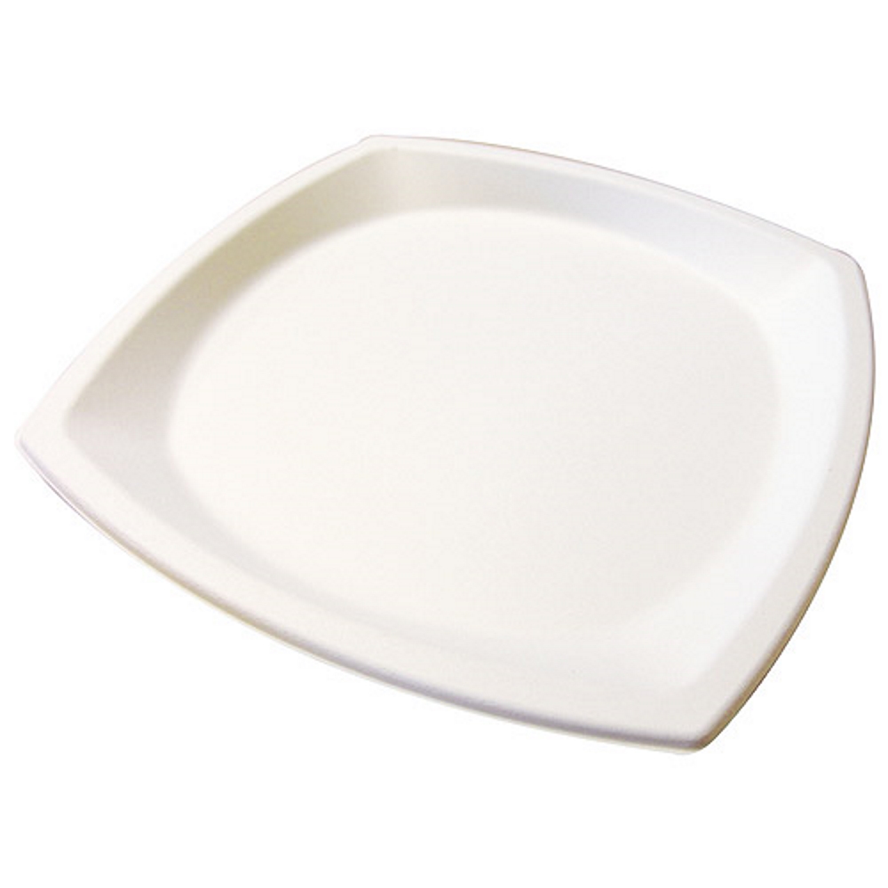 Plato De Pulpa 21x21cm