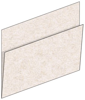 SERVILLETA MAXI SERVICE 33 X 40 1 CP ECO NATURE
