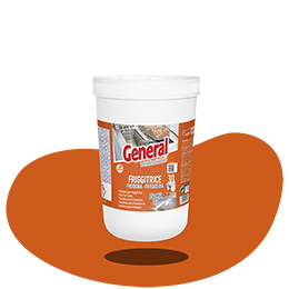 FRIGGITRICE, PASTILLAS PARA FREIDORA (30 PASTILLAS)