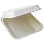 Caja Pulpa Tapa Bisagra