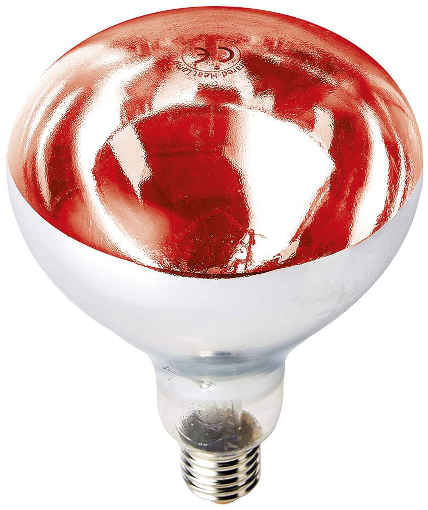 Bombeta *calentadora inestellable llum vermella ÉS-250W