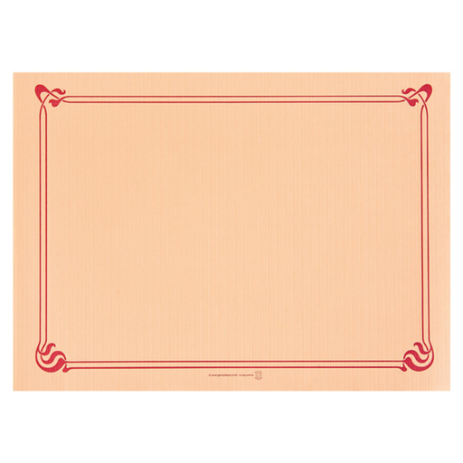 [108.08] MANTELINES 48 G/M2 31x43 CM SALMÓN CELULOSA (2000 UNID.)