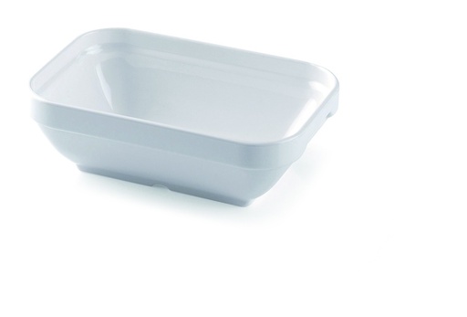 [AMC1005011] FUENTE RECTANGULAR 175 CC